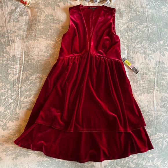NWT Burgundy Velvet, Deep V Dress - Picture 4 of 12